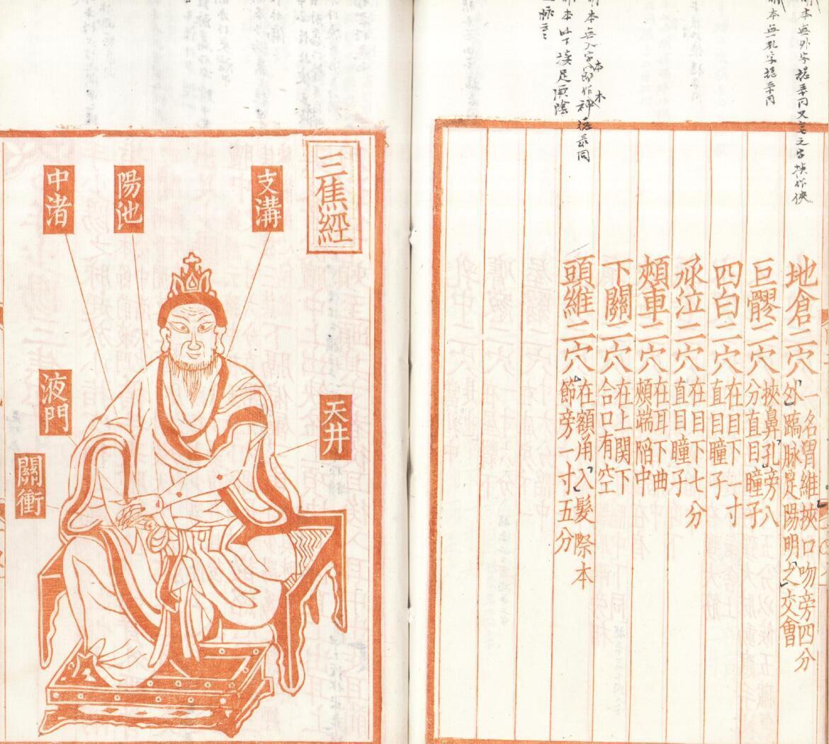 新刊补注铜人腧穴针灸图经.5卷.(图8)