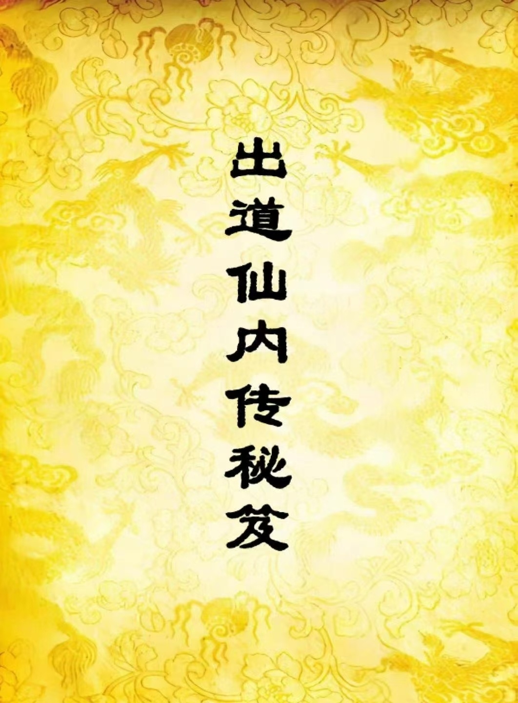 道家秘法书籍《出道仙内传秘笈》(图1)