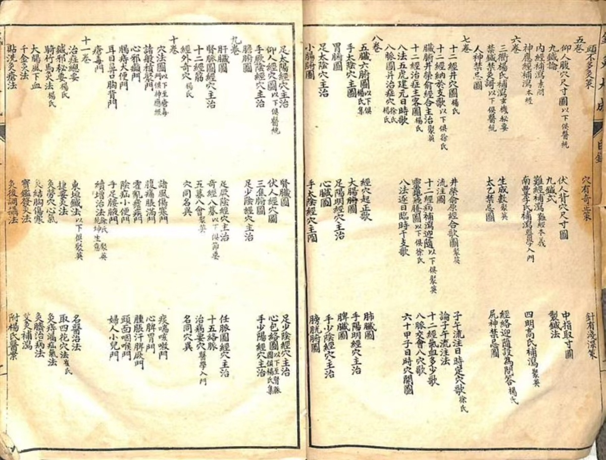 中医针灸古籍《针灸大成》(图2)