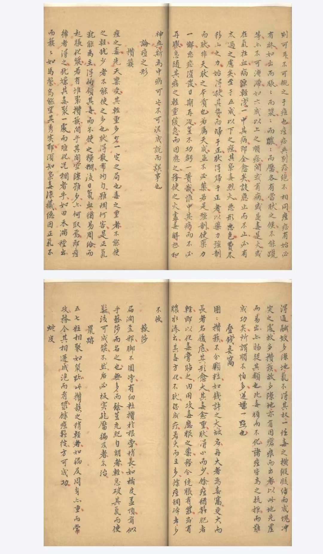 中医方书古籍《医方杂抄》(图8)