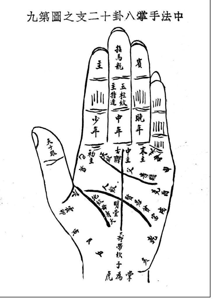 相术古籍《中西相人探原》袁树珊(图8)