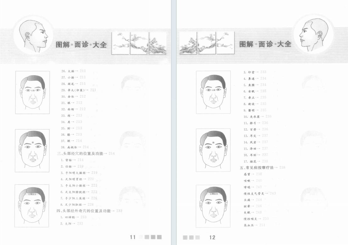 相术书籍《图解面诊大全》雷子 张家林(图7)