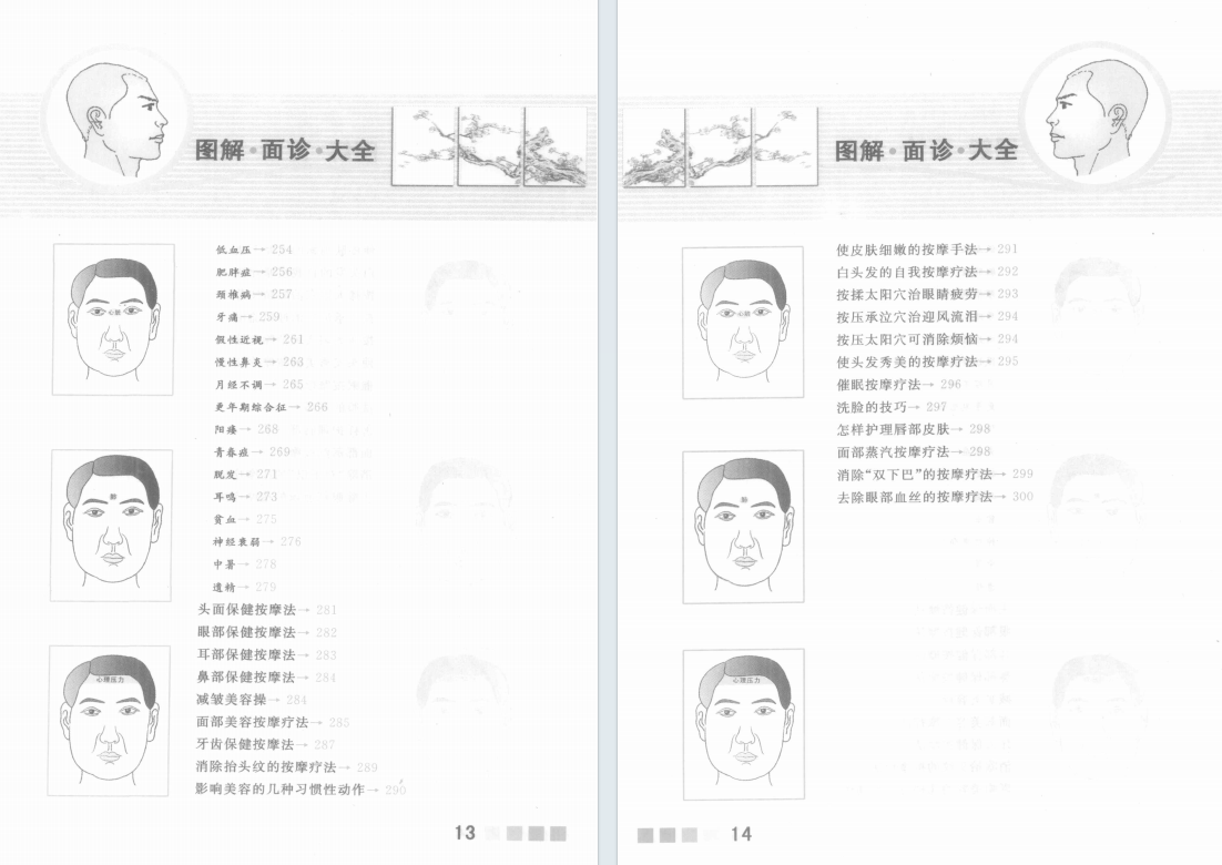 相术书籍《图解面诊大全》雷子 张家林(图8)