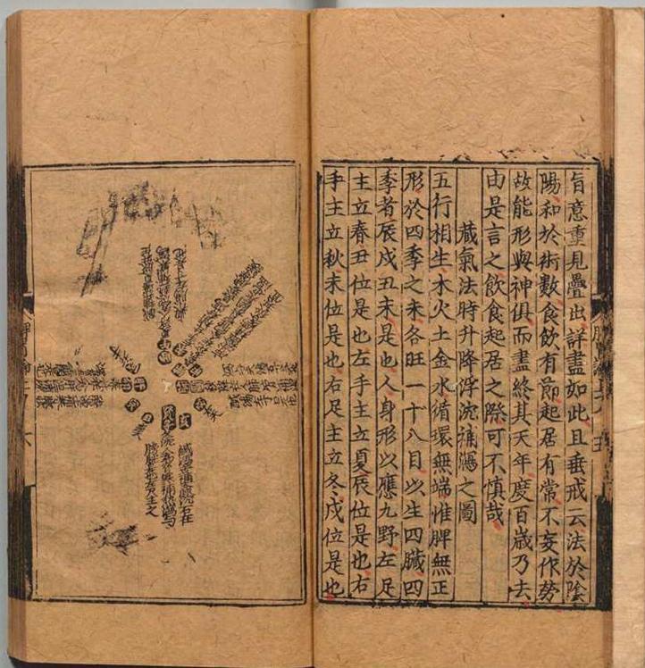 中医古籍《东垣十书》 熊氏梅隠书堂(图4)