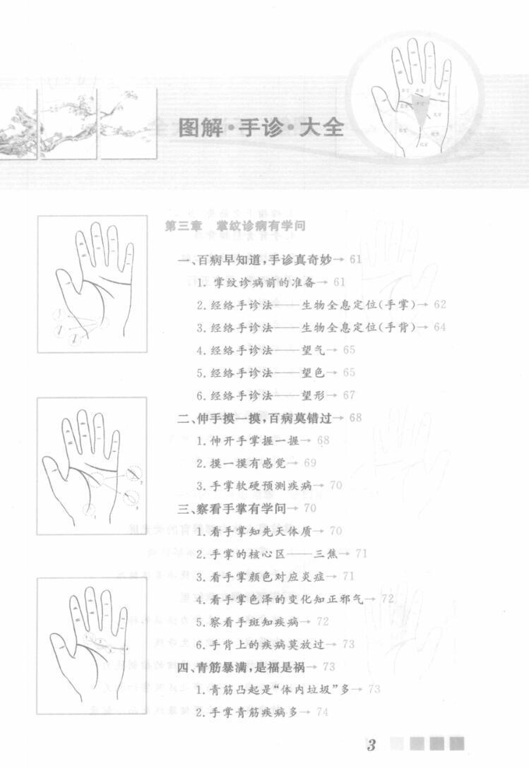 相术书籍《图解手诊大全》雷子，张家林(图4)