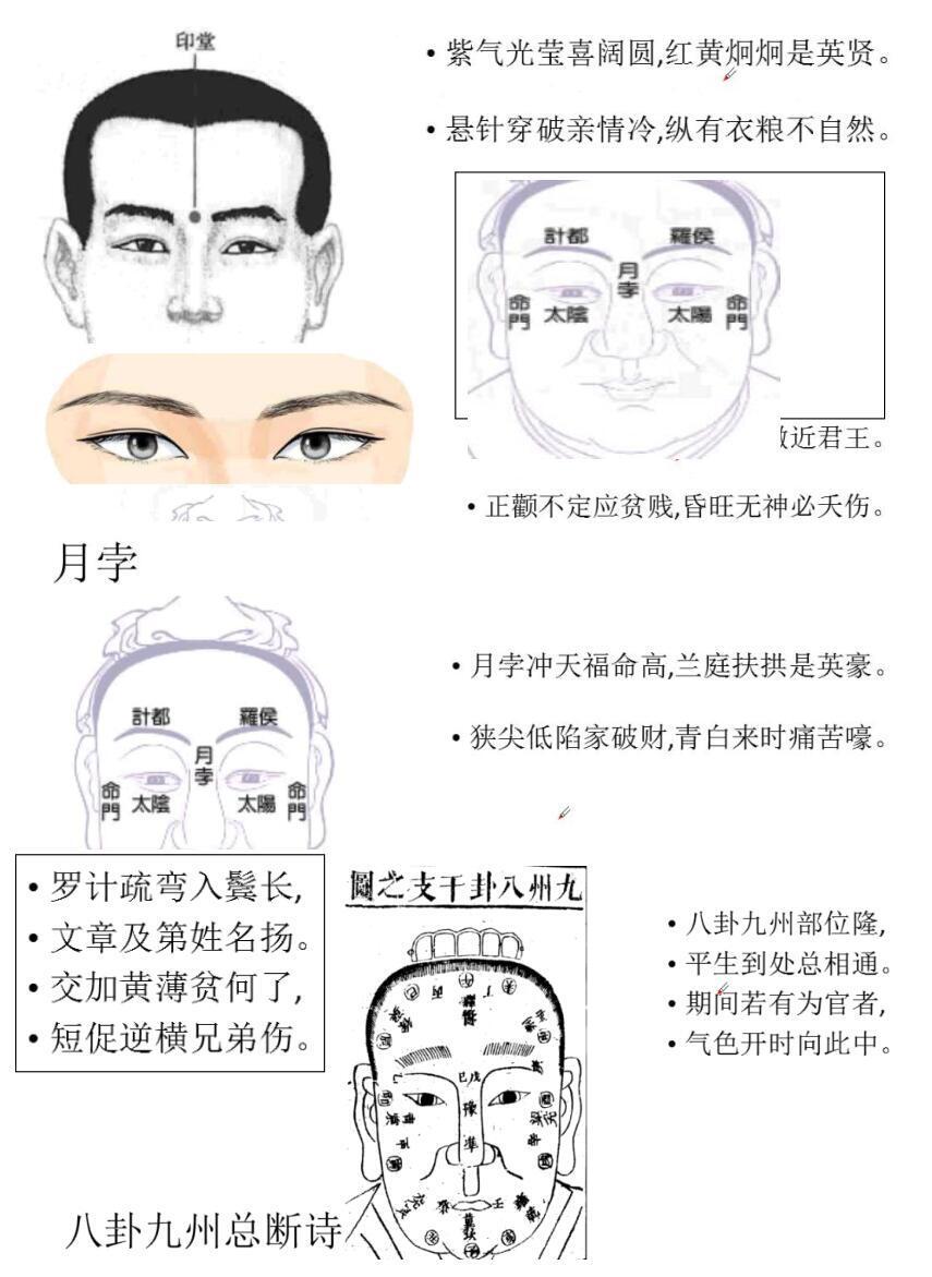 相术书籍《安徽陈庆鹏笔记》(图4)