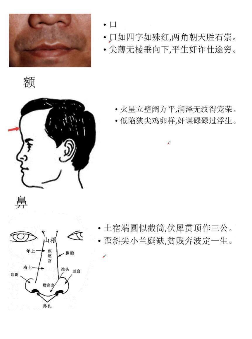 相术书籍《安徽陈庆鹏笔记》(图3)