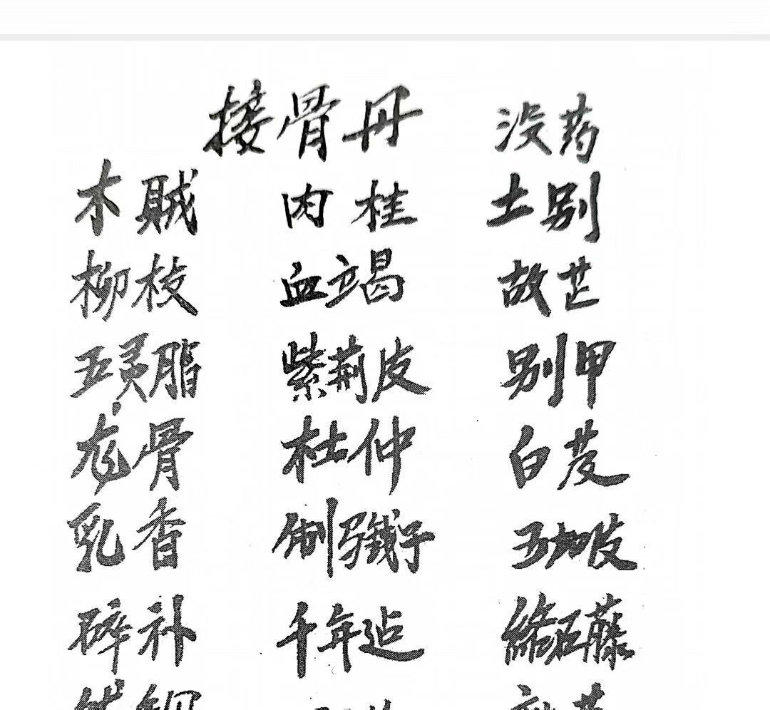 中医跌打方书籍《跌打骨伤杂症单验方书》 (图2)