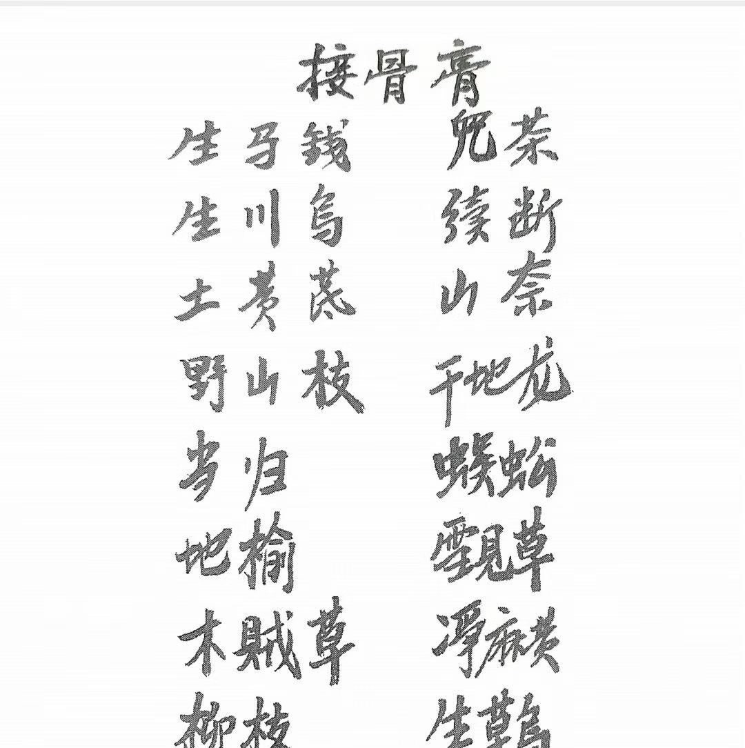 中医跌打方书籍《跌打骨伤杂症单验方书》 (图3)