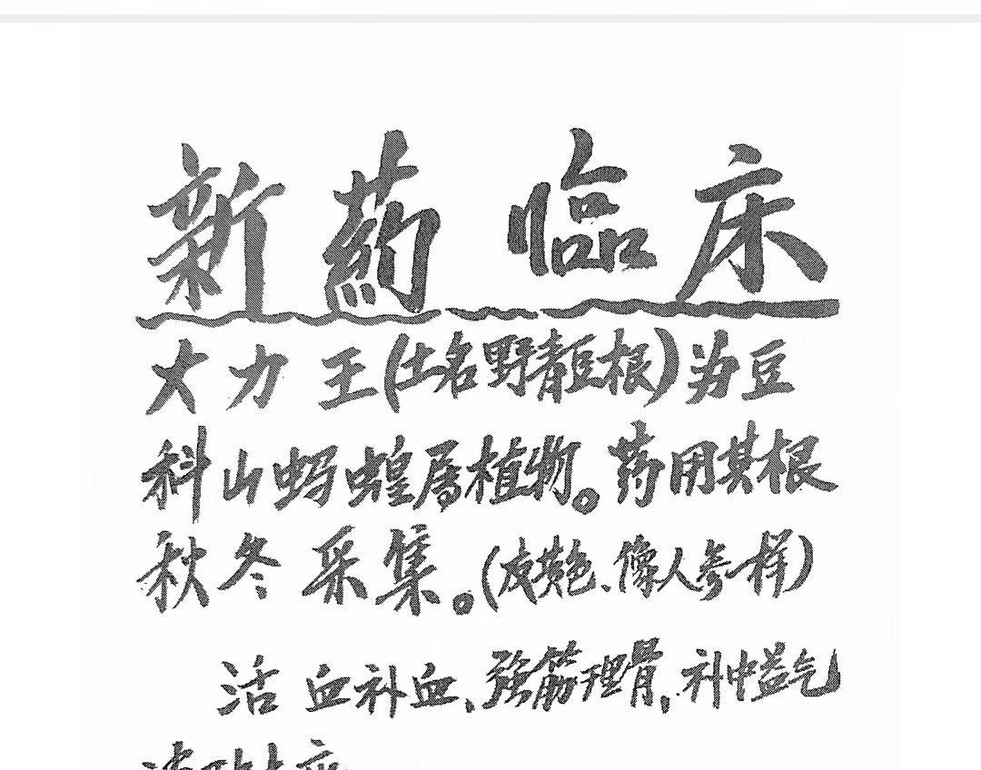 中医跌打方书籍《跌打骨伤杂症单验方书》 (图6)