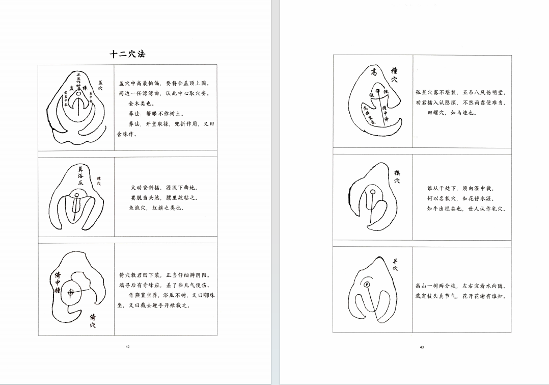 风水书籍《​地理真传秘本 三僚曾公真传 九尺内堂作法书》曾文辿(图8)