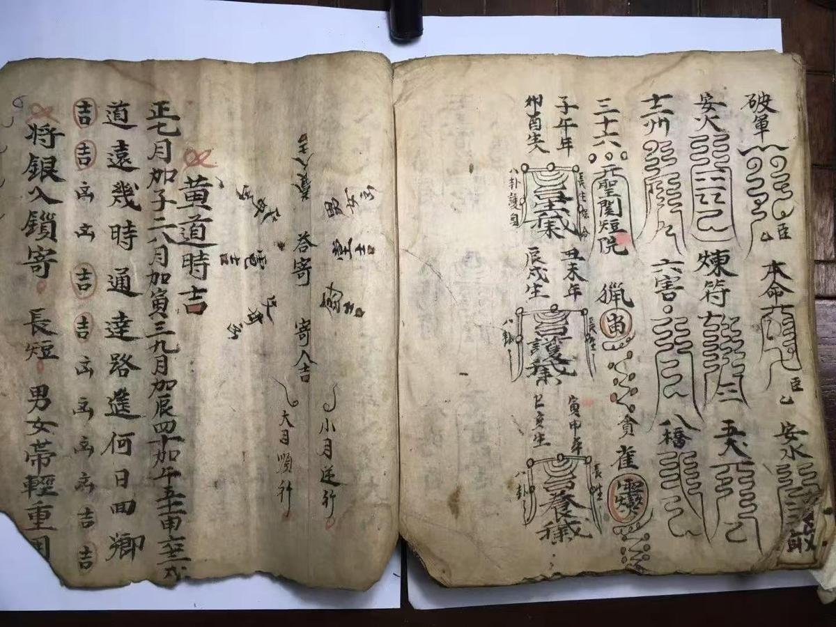 道家符咒古籍《​雷法开坛科》(图6)