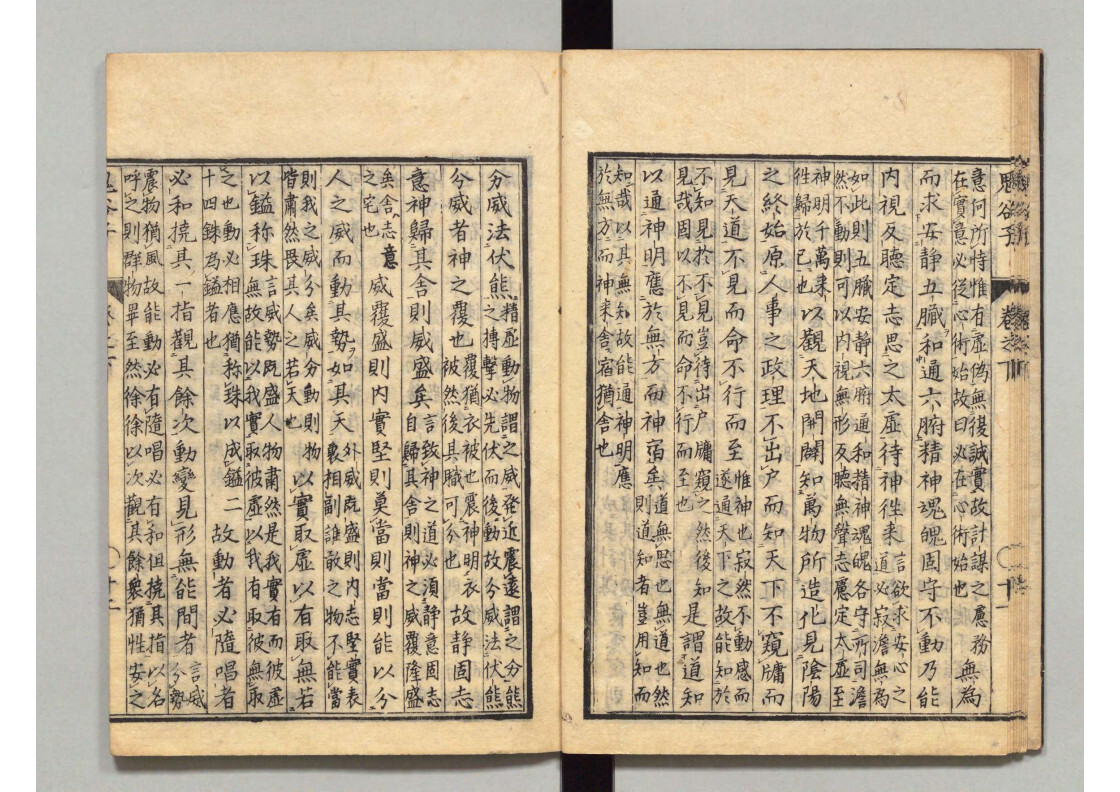经部古籍《鬼谷子（乾坤）》(图8)