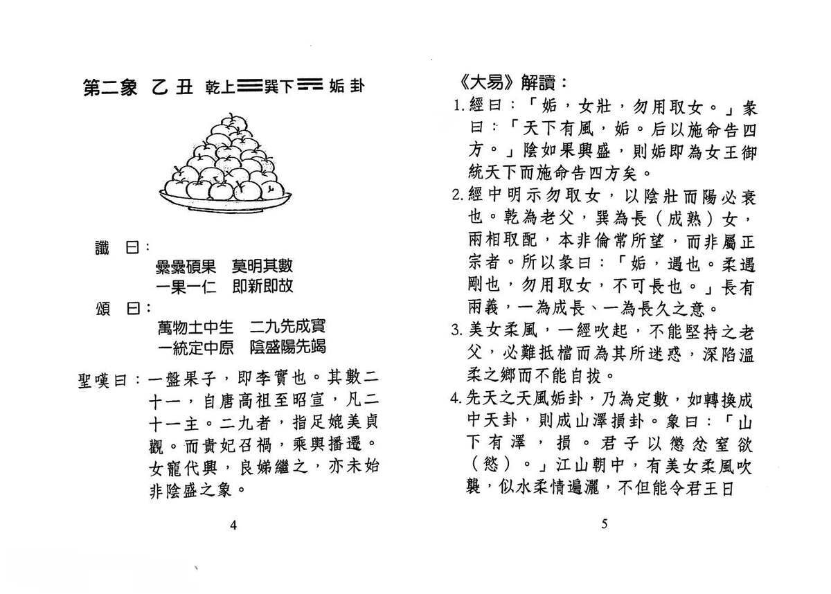 占卜书籍《​大易解读推背图》星云山人(图9)