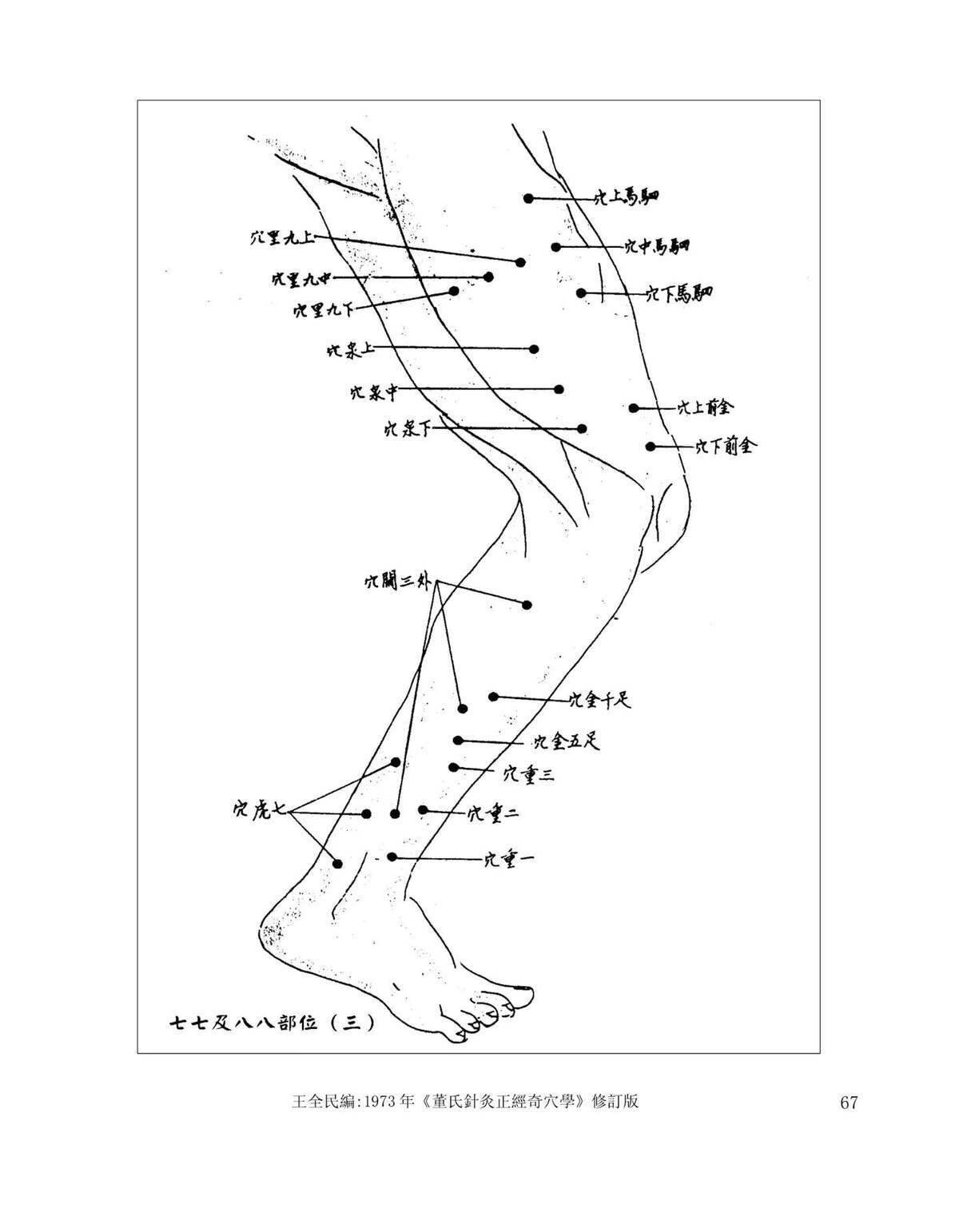 中医针灸书籍《​董氏针灸正经奇穴书》(图8)