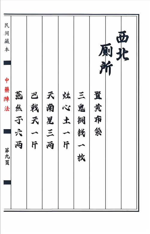 道医书籍《中药阵法》(图5)