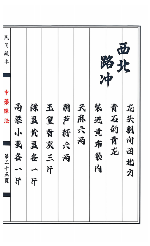 道医书籍《中药阵法》(图7)