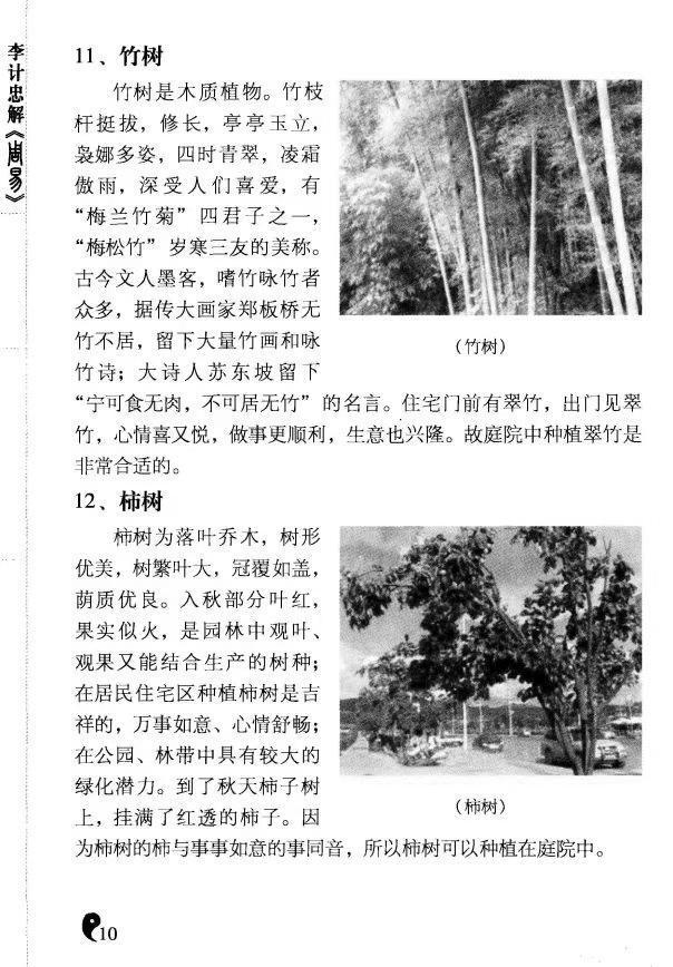 风水书籍《​周易环境与建筑》(图7)