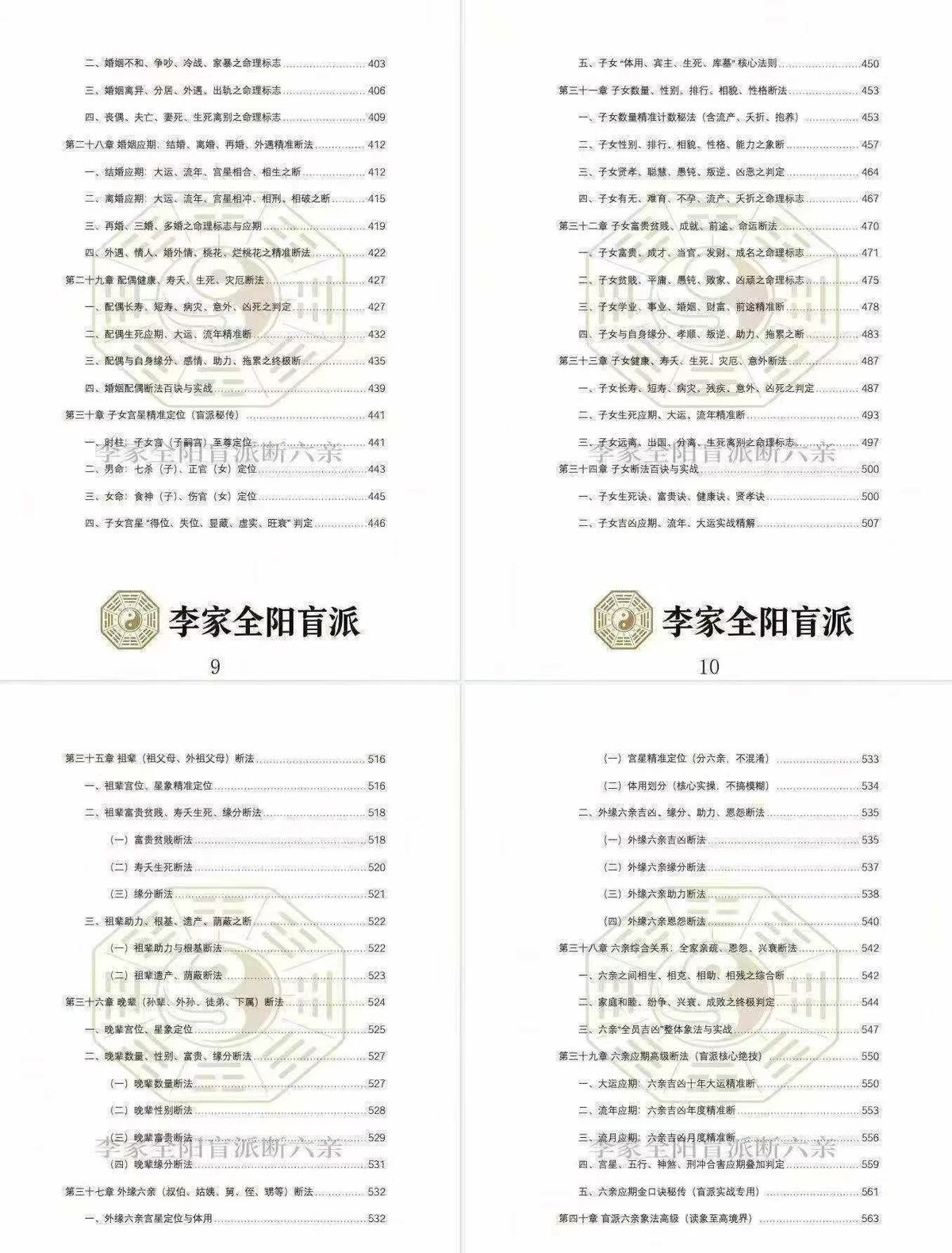 八字命理书籍《​李家全阳盲派六亲断弟子班秘训书籍》李安民(图8)