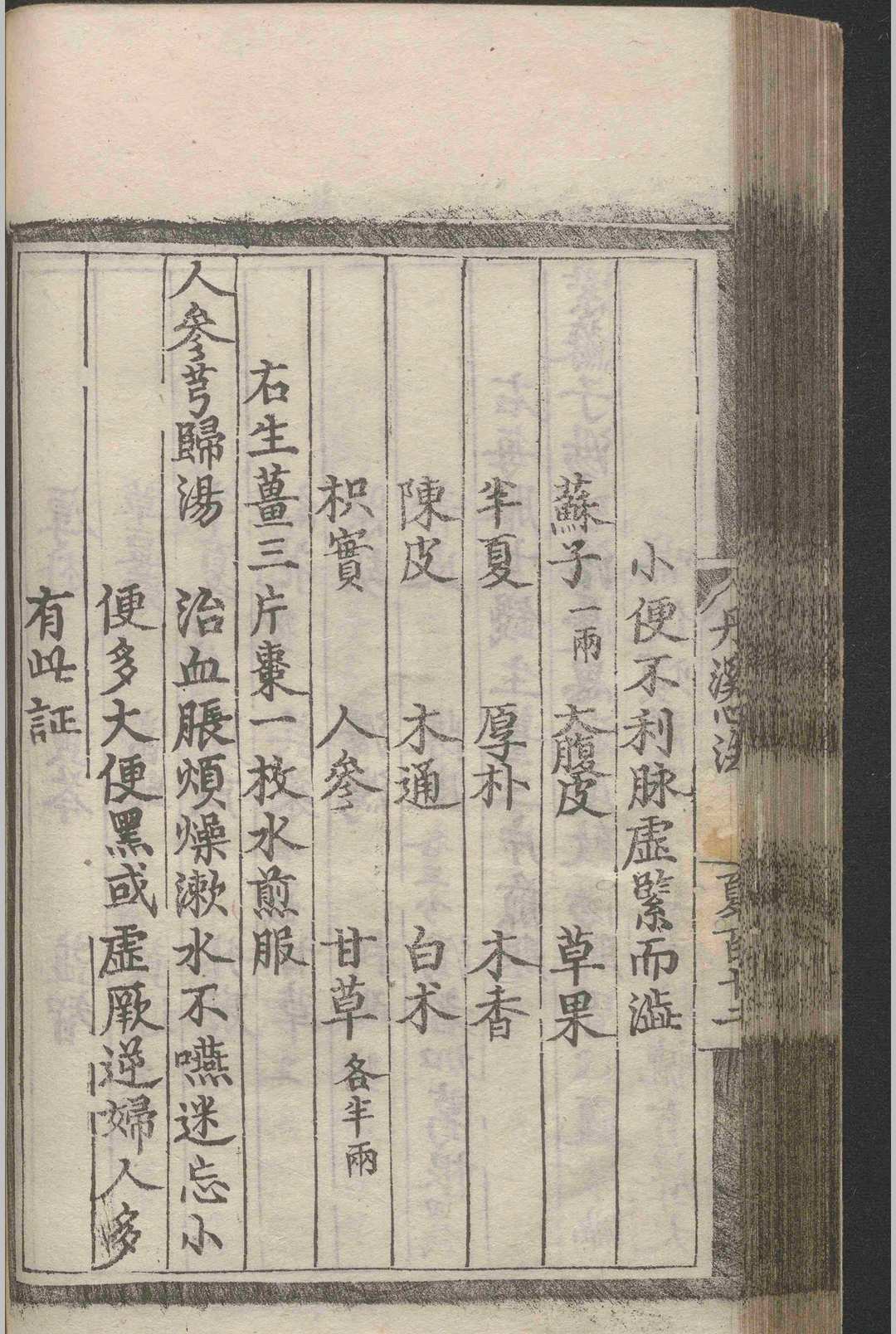 中医古籍《丹溪心法类集》(图8)