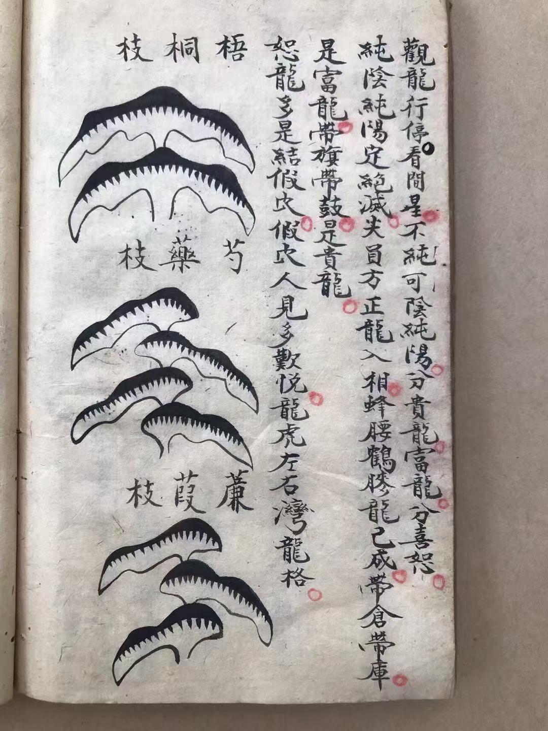 风水古籍《​地话》(图9)
