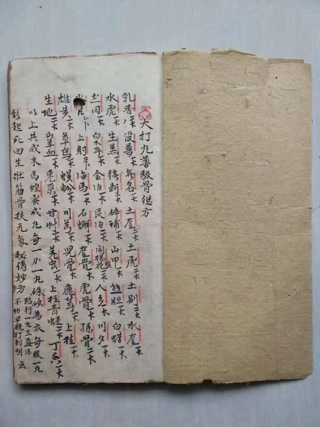 中医方书古籍《大打丸药驳骨总方》(图1)