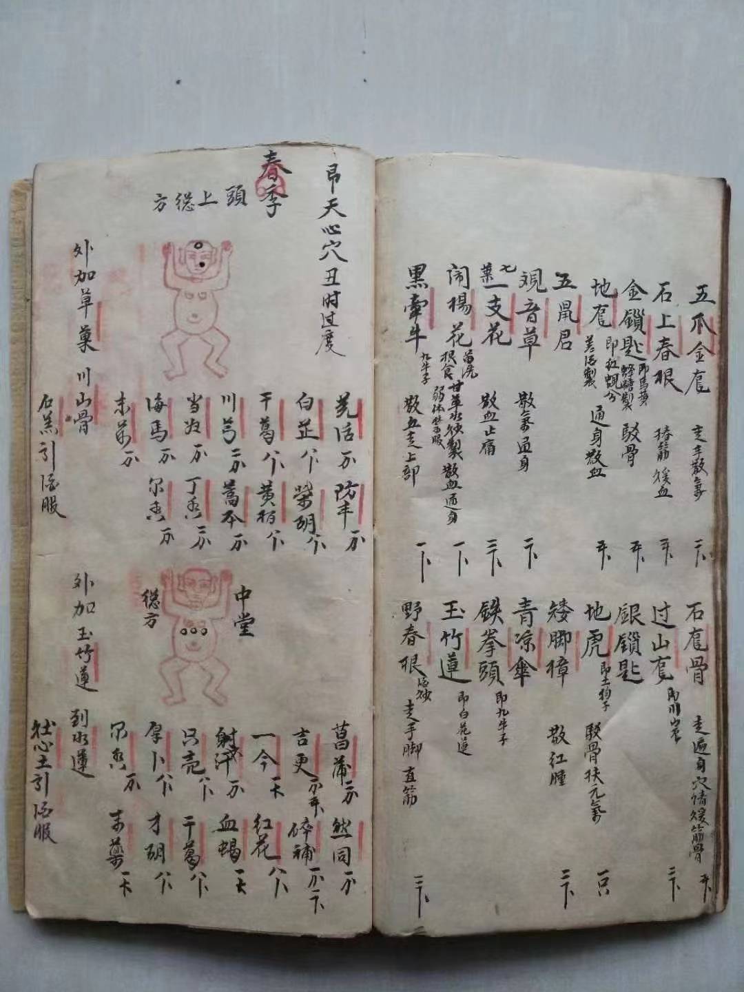 中医方书古籍《大打丸药驳骨总方》(图7)