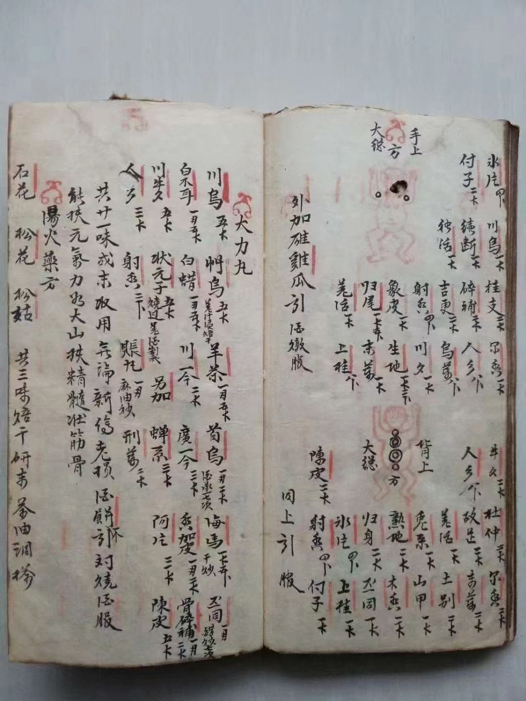 中医方书古籍《大打丸药驳骨总方》(图8)