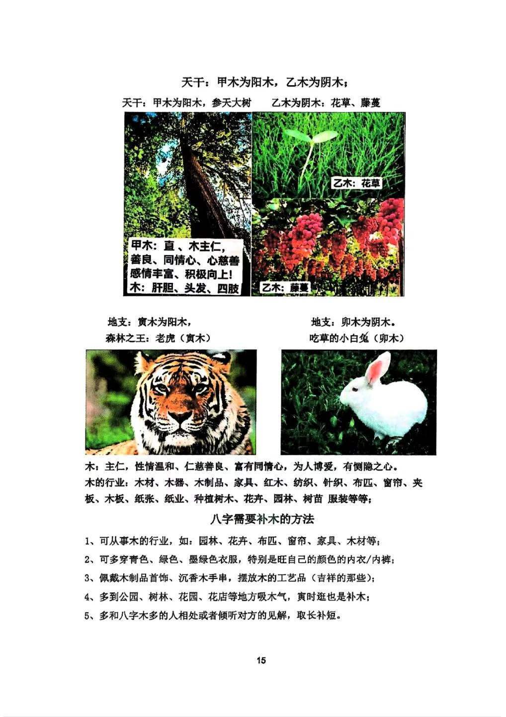 八字命理书籍《道家真传八字》(图7)
