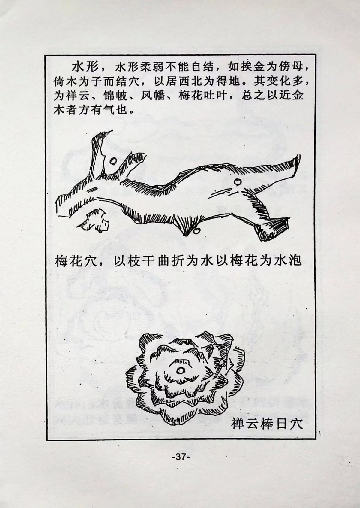 风水书籍《风水点穴百图》谢会伟(图3)