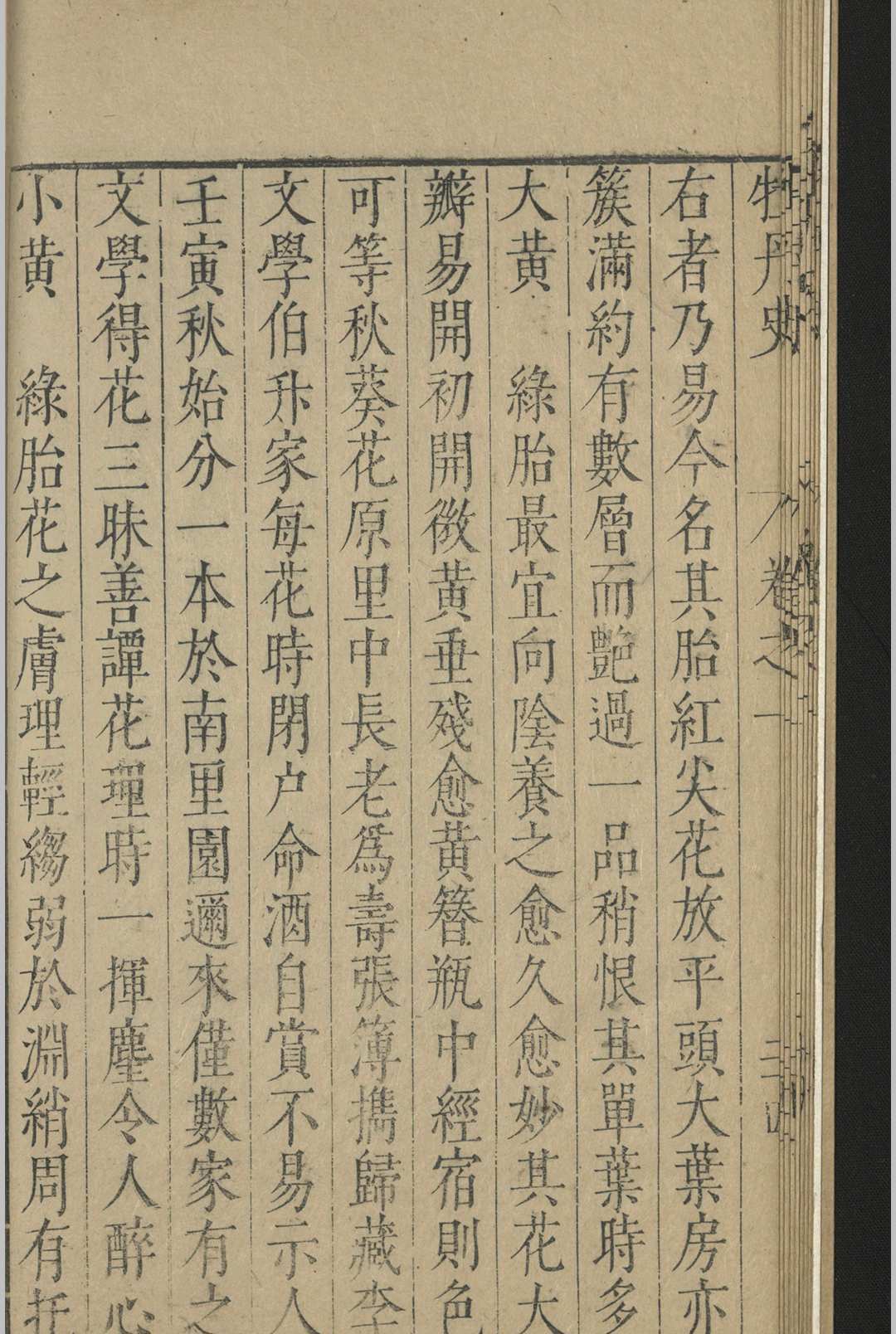 亳州牡丹史.四卷.薛凤翔.明万历(图8)
