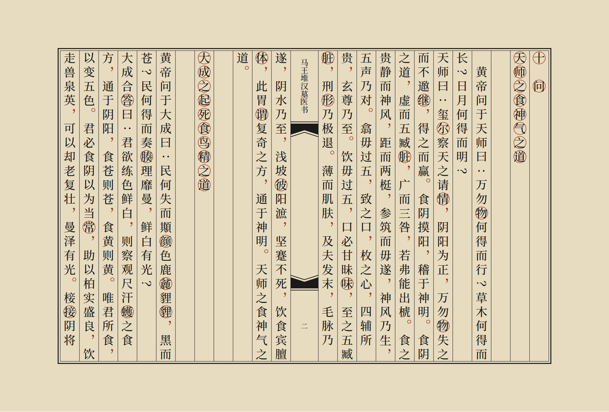 中医书籍《马王堆汉墓医书》(图3)