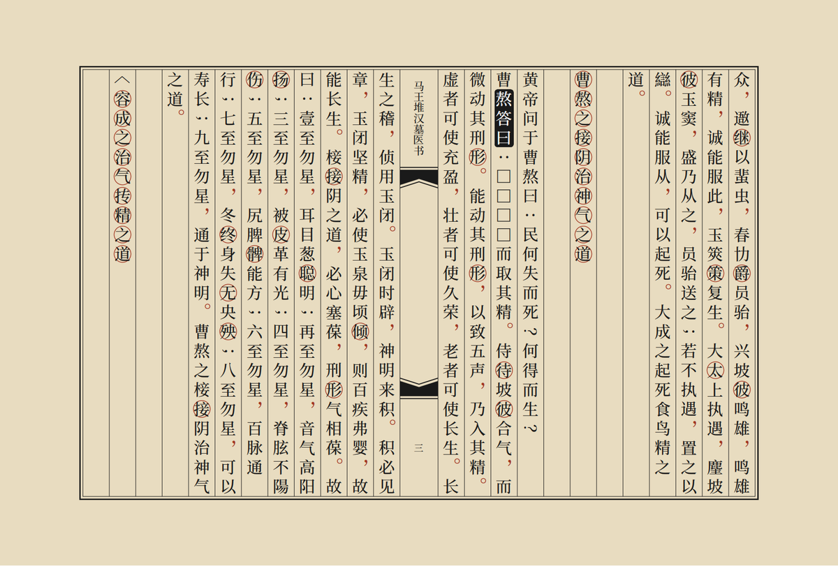 中医书籍《马王堆汉墓医书》(图4)