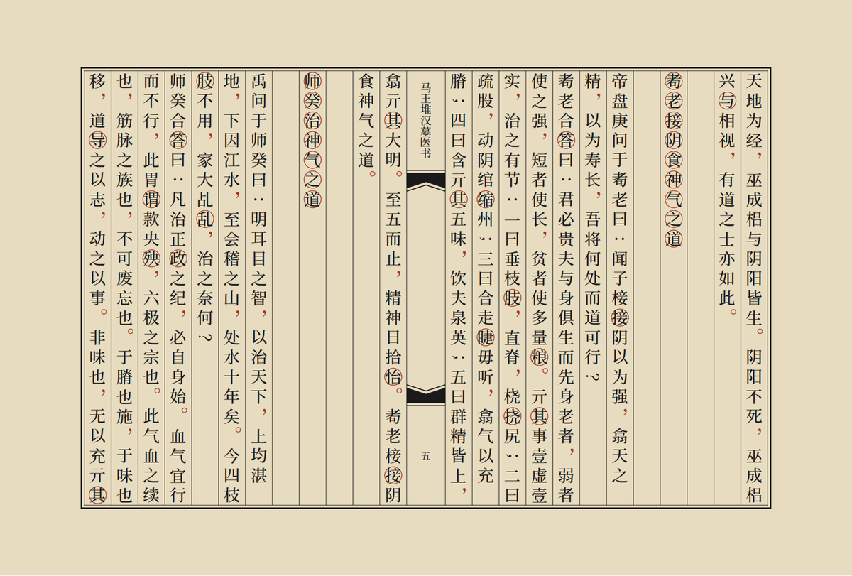 中医书籍《马王堆汉墓医书》(图6)