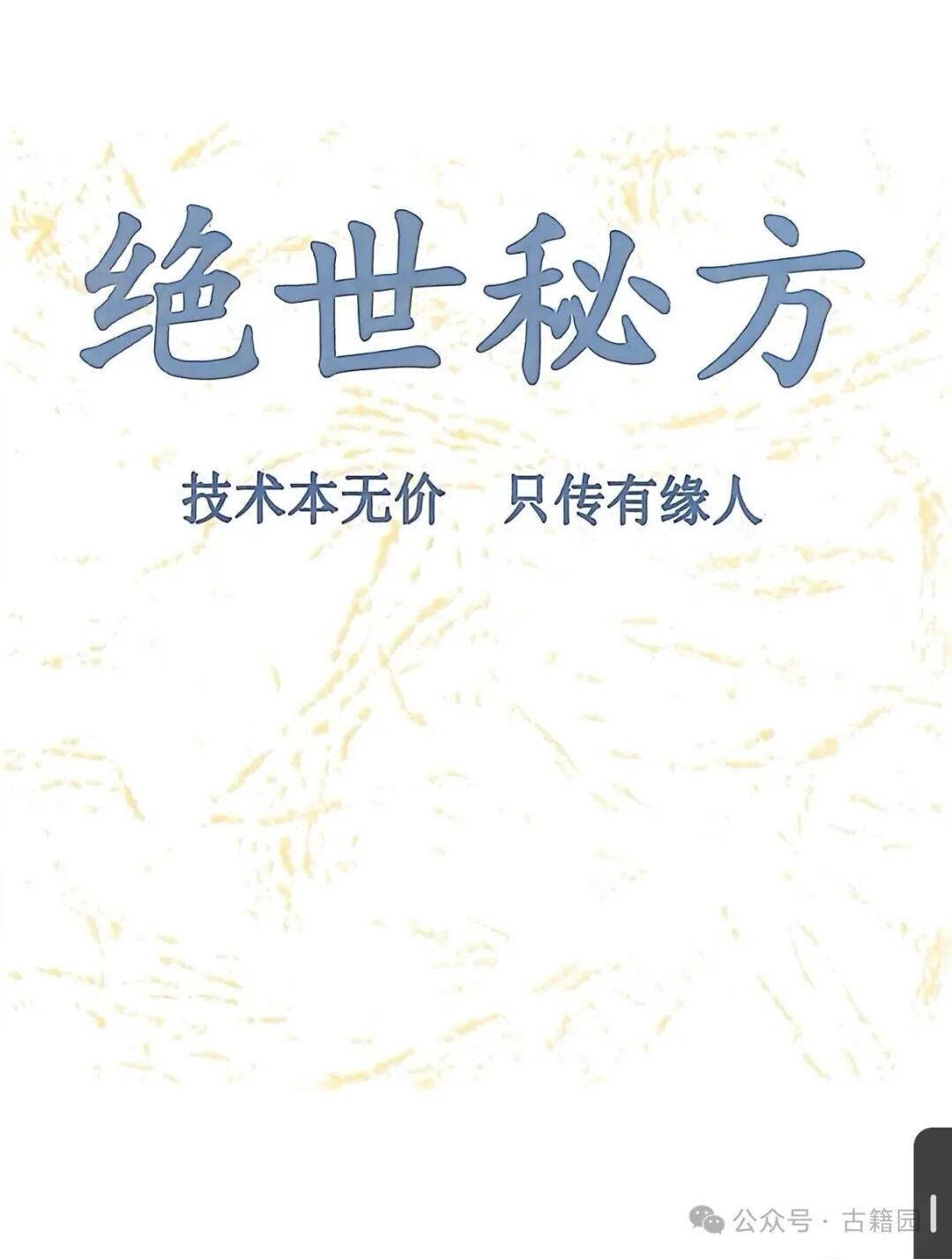 中医方书书籍《特效中草药绝世秘方》(图1)