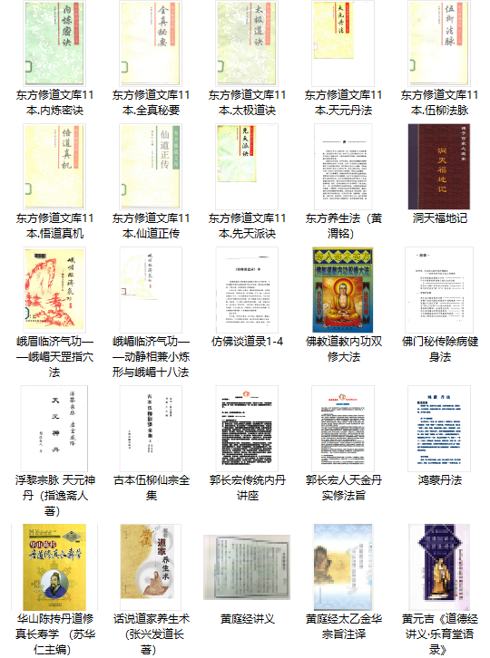 298本道家修真养生书籍大全(图8)