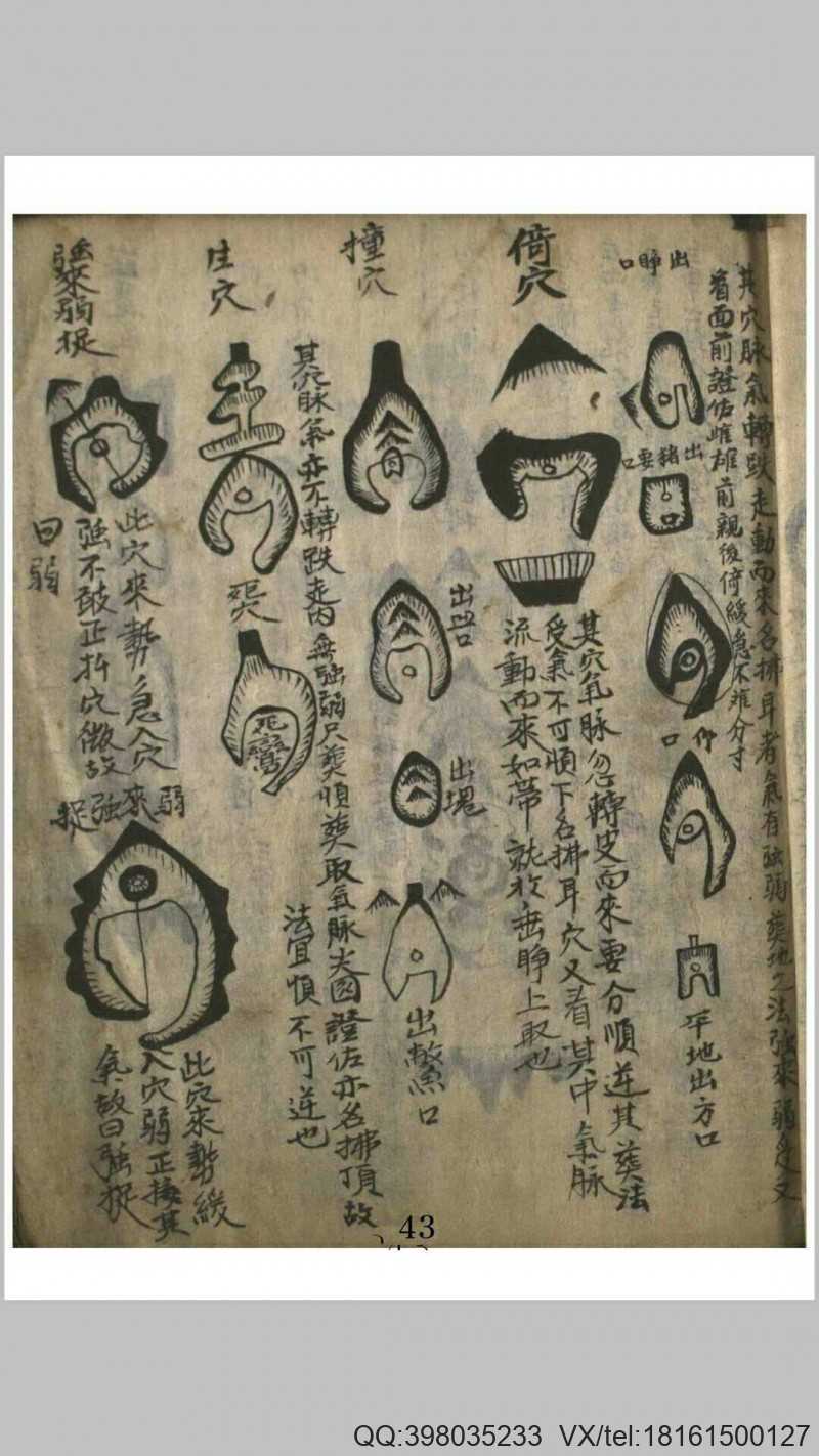 玉精经(图7)