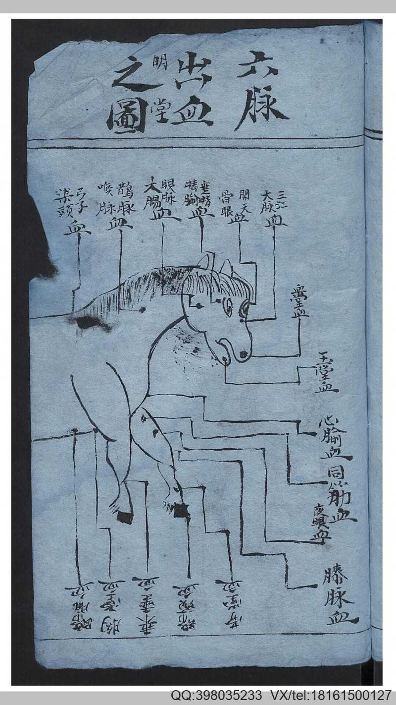 佛说大圣劝世真经(图7)