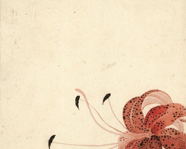 清_惲壽平_甌香館寫生冊_卷_(4277×3425 – 300dpi)(图2)