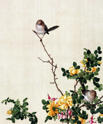 清_郎世宁_仙萼长春图最佳版_黄刺么鱼儿牡丹_(6252×7496 – 405dpi)(图1)