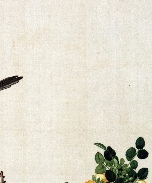 清_郎世宁_仙萼长春图最佳版_黄刺么鱼儿牡丹_(6252×7496 – 405dpi)(图3)