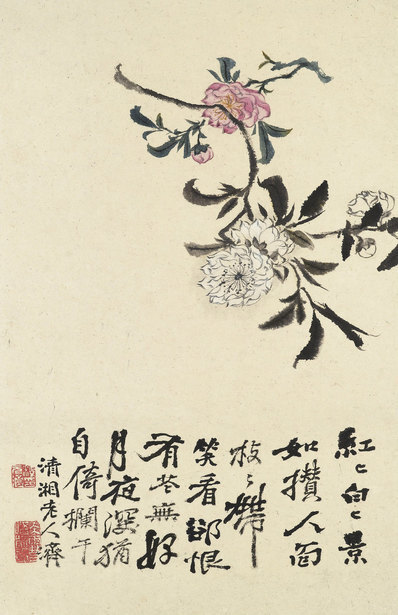 清_石涛_花卉册十帧_5_(2613×4038 – 400dpi)(图1)