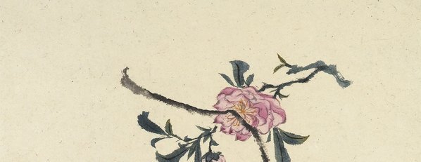 清_石涛_花卉册十帧_5_(2613×4038 – 400dpi)(图2)