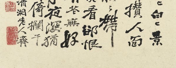 清_石涛_花卉册十帧_5_(2613×4038 – 400dpi)(图5)