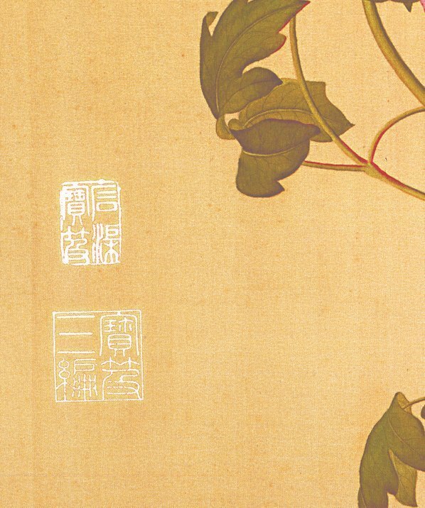 清_郎世宁_花鸟图册_2(图4)