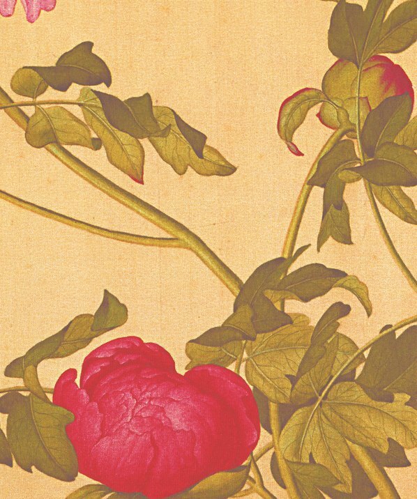 清_郎世宁_花鸟图册_2(图5)
