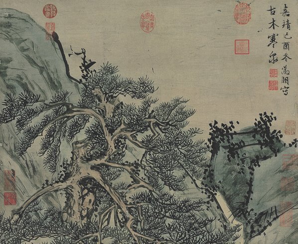 明_文徵明_古木寒_(7004×23031 – 300dpi)(图2)