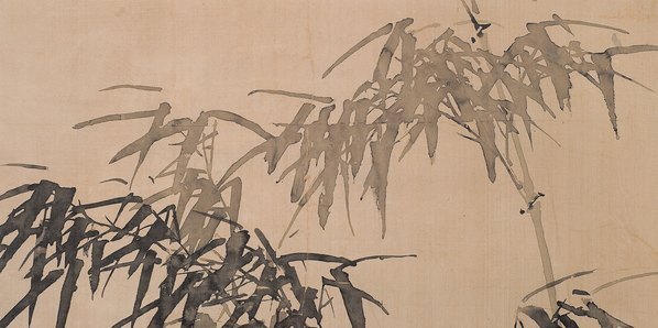 近代_清_无款_竹_(4010×7999 – 72dpi)(图2)