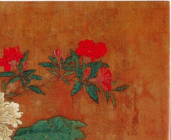 五代_后蜀_黄居寀_花卉写生图册_9_(3011×2474 – 300dpi)(图3)