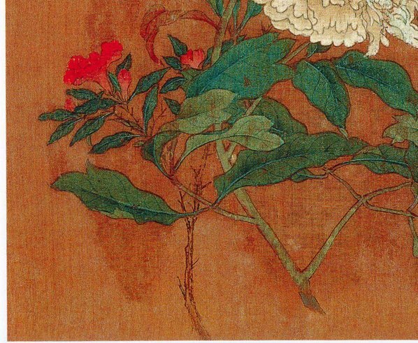五代_后蜀_黄居寀_花卉写生图册_9_(3011×2474 – 300dpi)(图4)